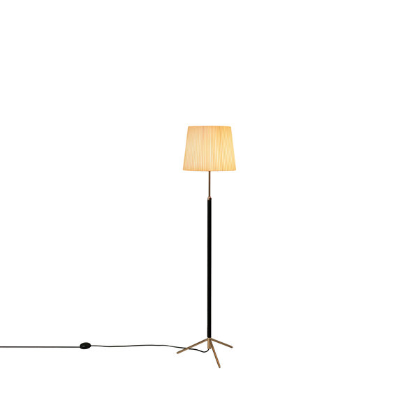 Pie de Salón Iluminación