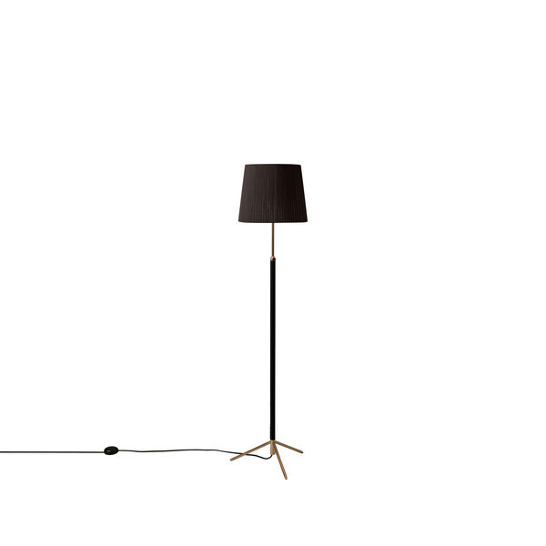 Pie de Salón Iluminación